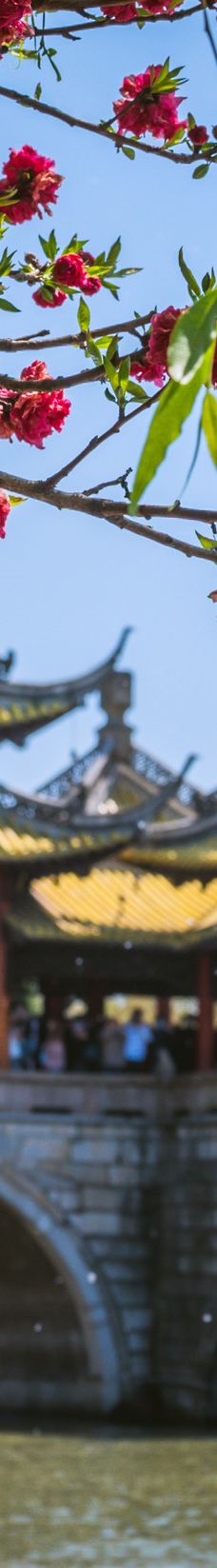 瘦西湖-扬州-baojuan0315