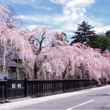 日本仙台+山形+秋田县+岩手县5日4晚跟团游