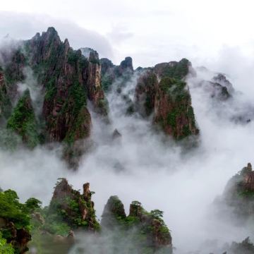 上海+乌镇+杭州+千岛湖+黄山+婺源篁岭景区+徽州古城10日9晚私家团