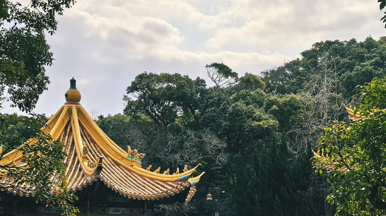 衢州旅行社学生实惠旅游推荐攻略指南大全汇总整理