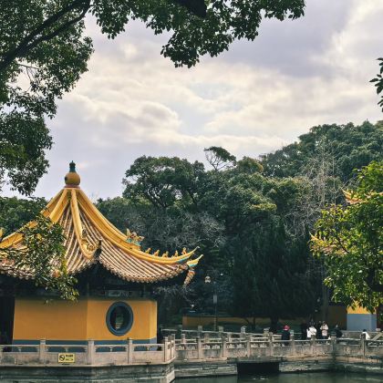 普陀山+洛迦山2日1晚跟团游