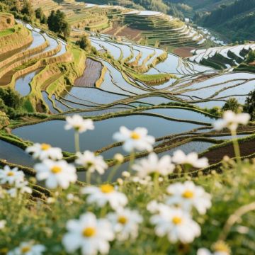 昆明+建水+元阳哈尼梯田+弥勒5日4晚私家团