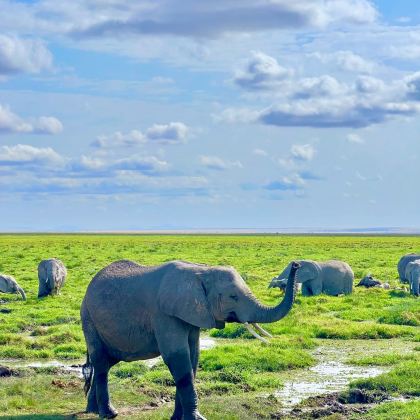 肯尼亚+坦桑尼亚10日9晚拼小团