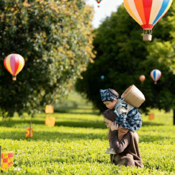 腾冲+芒市+瑞丽6日5晚私家团
