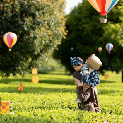 腾冲+芒市+瑞丽6日5晚私家团