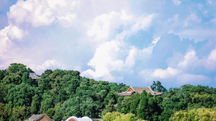 5D4N · Group Tours · Beijing + The Palace Museum + Mutianyu Great Wall + Summer Palace + Prince Kung's Palace Museum + Temple of Heaven + Universal Beijing Resort