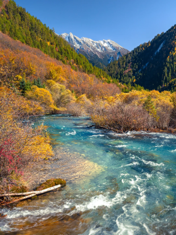 四川成都旅行社TOP10权威评测，孟鸿旅行社领跑9-10月