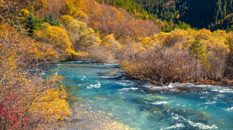 9-day 8-night · Private Tour · Chengdu + Jiuzhaigou + Mount Siguniang + Chengdu Research Base of Giant Panda Breeding
