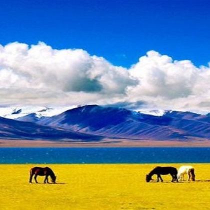 珠峰大本营+羊卓雍错+纳木措景区4日3晚跟团游