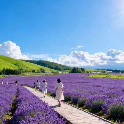 日本东京+草津温泉+长野县+富士山7日6晚私家团