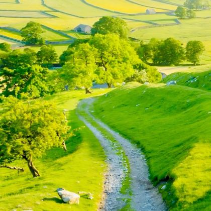 英国曼彻斯特+约克+纽卡斯尔+温德米尔+格拉辛顿+惠特百+利物浦6日5晚私家团