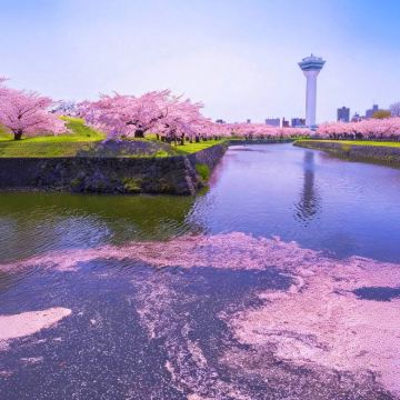 日本北海道7日6晚私家团