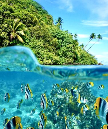6D5N • Malaysia Semporna--Snorkeling Island Hopping Vacation