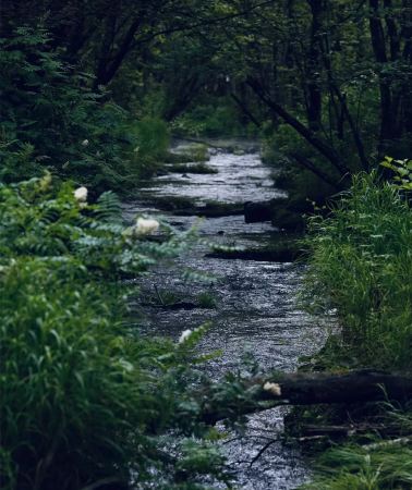 6日5晚 • 龍江山水連線 ·  夏秋精選 ·  穿行冰城奔赴五大連池與伊春 ·  探祕火山奇景 ·  沉醉湖光水色 ·   邂逅林間小鹿