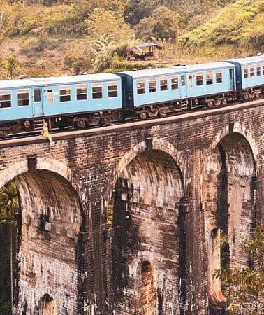 7D6N • 7 Days Tour in Sri Lanka Hotels with Breakfast and Luxury Car