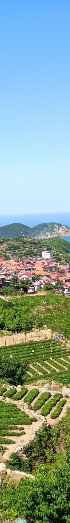 崂山风景区-青岛