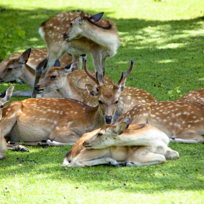伊春4日3晚私家团