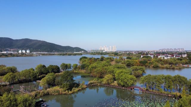 长兴太湖图影湿地文化园-观景塔旅行图片 3