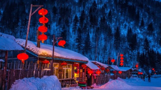 5-Day Northern Utopia Snow Adventure Harbin Private Tour·Songhua River, Central Street, China Harbin Ice And Snow World, Siberia Tiger Park and Yabuli Ski Resort