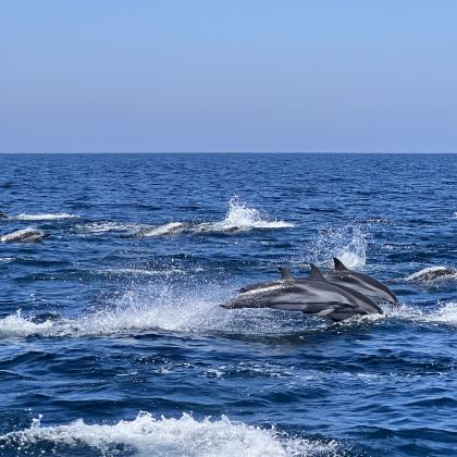 阿曼5日4晚私家团