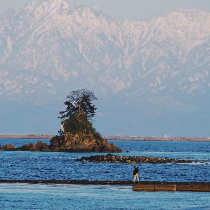 日本名古屋+金泽+白川乡+箱根+静冈+富士山7日6晚私家团