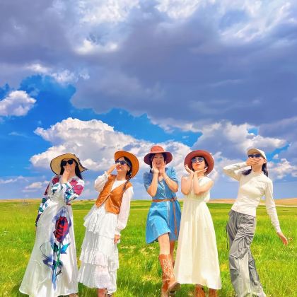 乌兰布统草原+塞罕坝国家森林公园+木兰围场+坝上2日1晚私家团