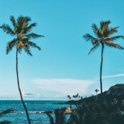 美国夏威夷瓦胡岛+夏威夷岛8日7晚私家团