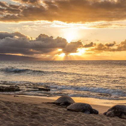 美国夏威夷欧胡岛8日6晚私家团