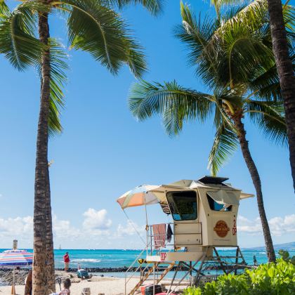 美国夏威夷欧胡岛9日7晚私家团