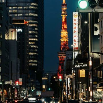 日本东京+日光市2日1晚自由行