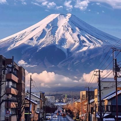 日本东京+伊豆市+东伊豆町+西伊豆町+南伊豆町+富士河口湖町+箱根+横滨8日7晚拼小团