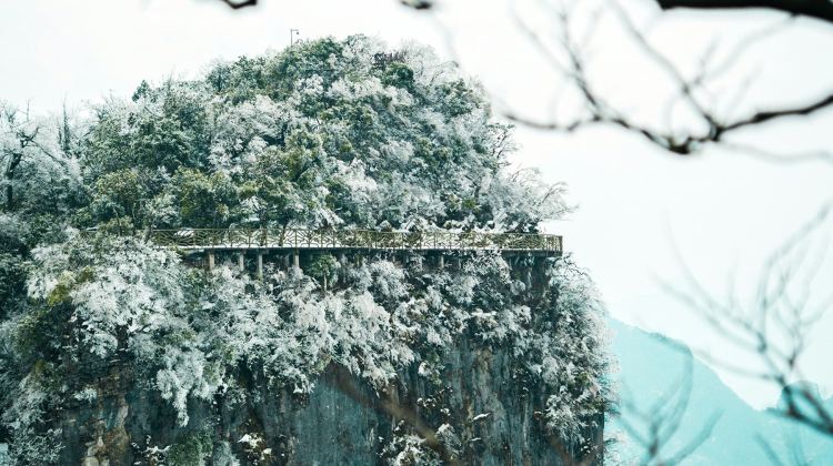 5D4N · Group Tours · Changsha + Zhangjiajie + Fenghuang County + Zhangjiajie Grand Canyon (Glass Bridge) + Furong Town + Fenghuang Ancient Town + Tianmen Mountain National Forest Park