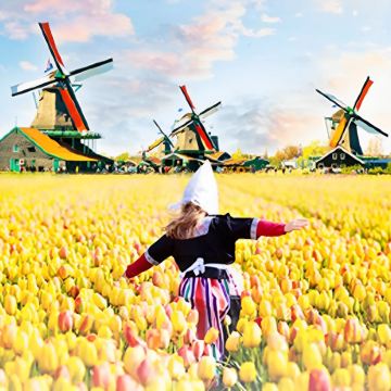 荷兰+比利时8日6晚拼小团 荷兰+比利时8日6晚拼小团