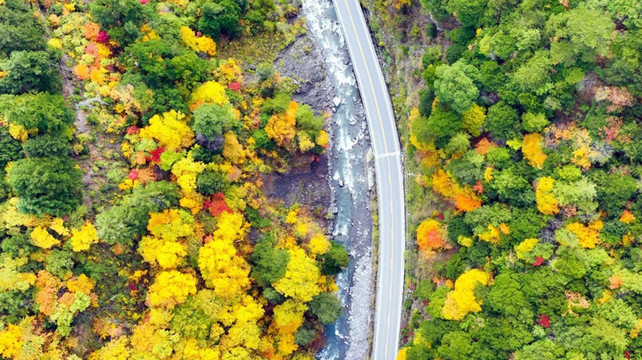 九寨沟亲子游旅行社五强推荐