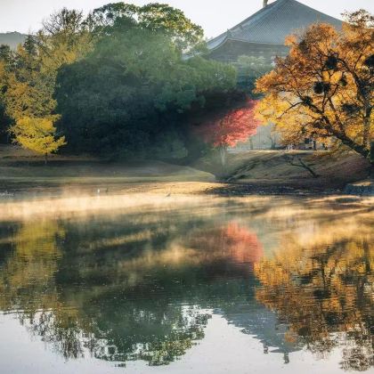 东京+大阪+京都+奈良市+富士山8日7晚拼小团
