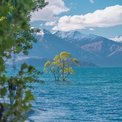 新西兰南岛12日9晚私家团