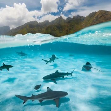 新西兰+斐济12日9晚私家团