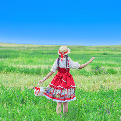 乌兰布统草原+锡林郭勒盟草原+乌拉盖草原+布林泉+阿斯哈图石林景区+达达线+锡林郭勒盟(柳兰沟)+内蒙古锡林郭勒盟+赤峰8日7晚跟团游