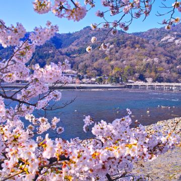 日本大阪+京都+奈良市6日5晚拼小团