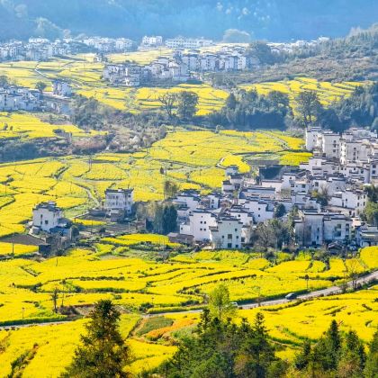 江西南昌+庐山+婺源+景德镇+望仙谷5日4晚私家团