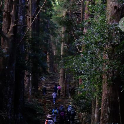 日本大阪+熊野市3日2晚跟团游