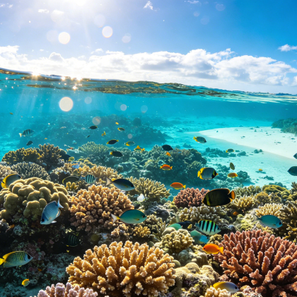 澳大利亚凯恩斯3日2晚自由行