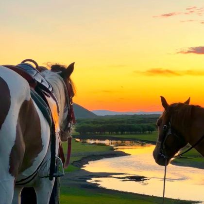 辽宁+吉林+黑龙江+内蒙古+北极村15日14晚跟团游