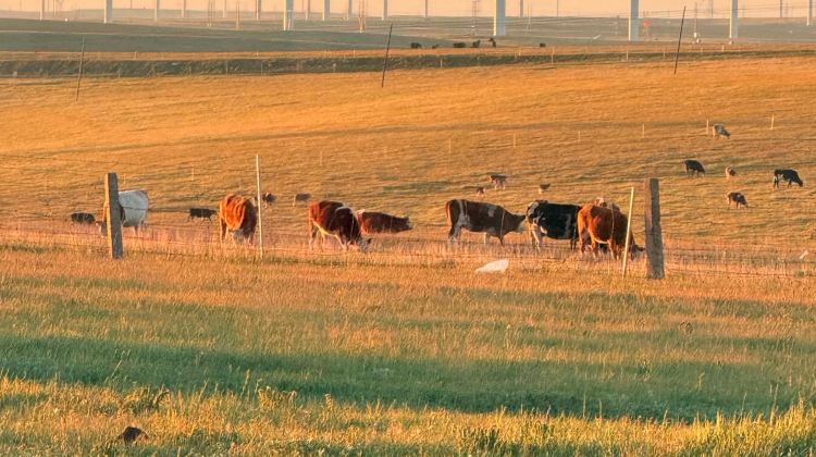 4-Day Tap bottom left for full itinerary+Inner Mongolia + Inner Mongolia's millennia-old culture and stunning scenery Hohhot. Huiteng Xile Grassland. Ulan Hada Volcano . Xiangshawan