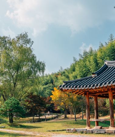 17D16N • Tokyo, Mount Fuji, Kyoto, Nagasaki and Korea