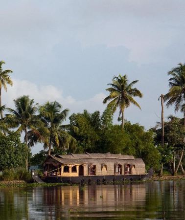 5D4N • Cochin: 5-Day Private Kerala Tour Munnar, Thekkady, Alleppey