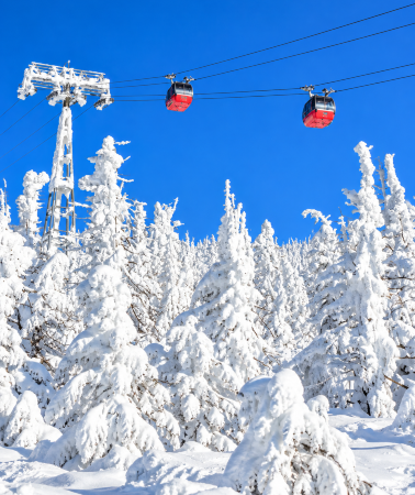 2D1N • Yamagata City + Miyagi Prefecture + Ginzan Onsen + Frost-covered Trees in Zaō Mountains + Zaō Fox Village + Goshikinuma