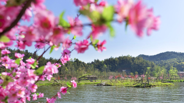 【长沙出发】湖南常德桃花源+长沙+西洞庭湖湿地保护区+湖南省博物馆5日4晚私家团
