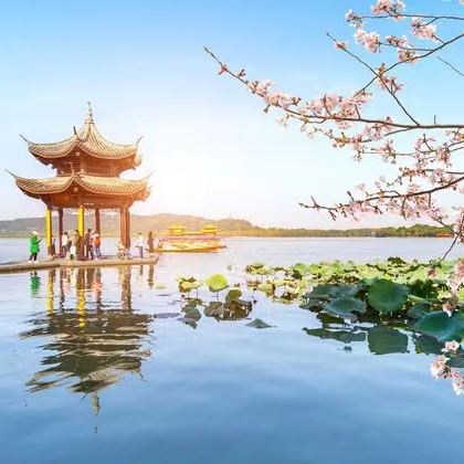 乌镇+杭州+上海3日2晚跟团游