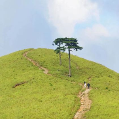 江西萍乡武功山风景区+孽龙洞+萍乡博物馆4日3晚私家团